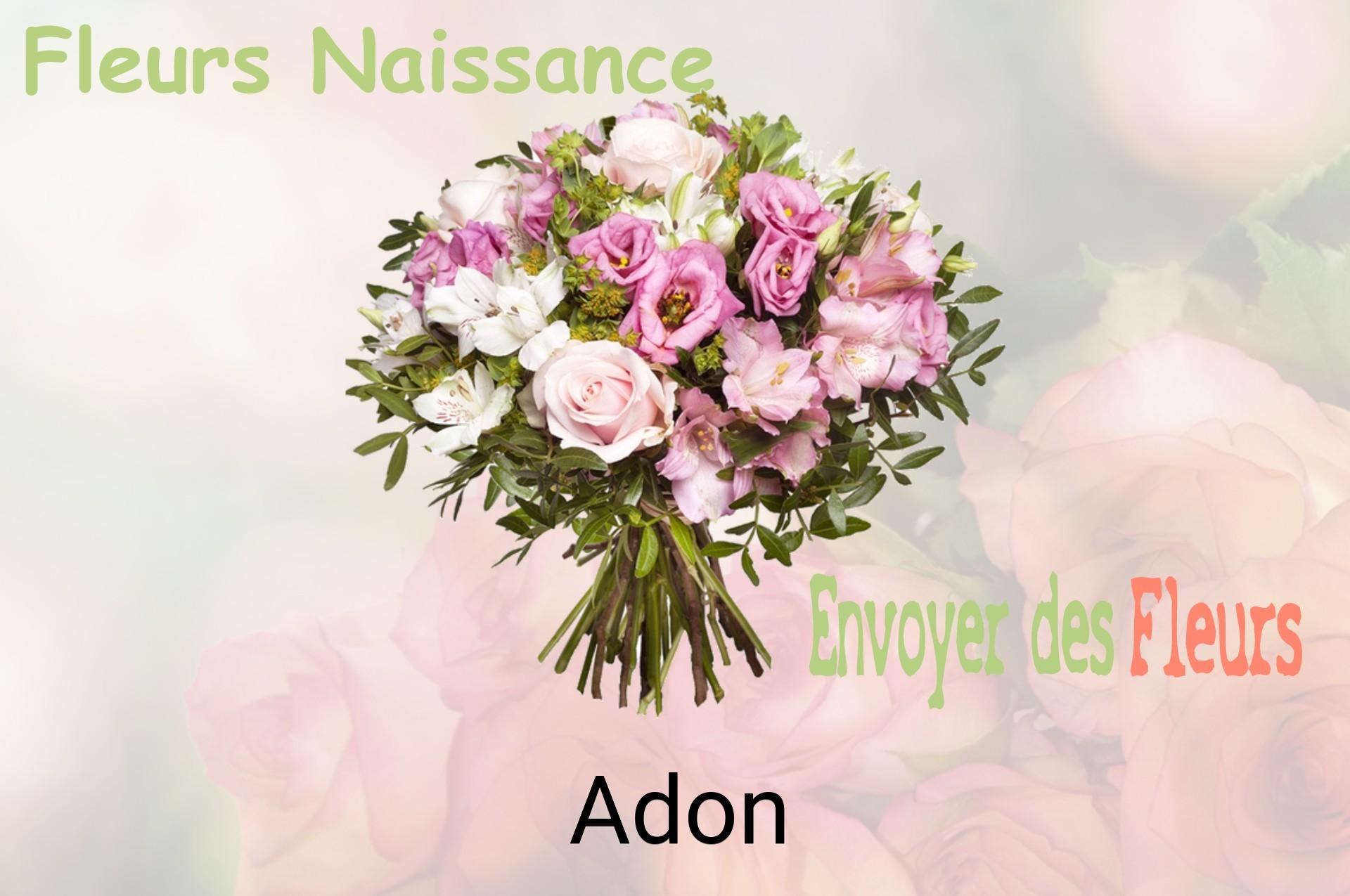 Bouquet de fleurs de naissance livré à Adon